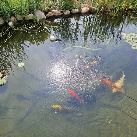 Beier Unten 아파트