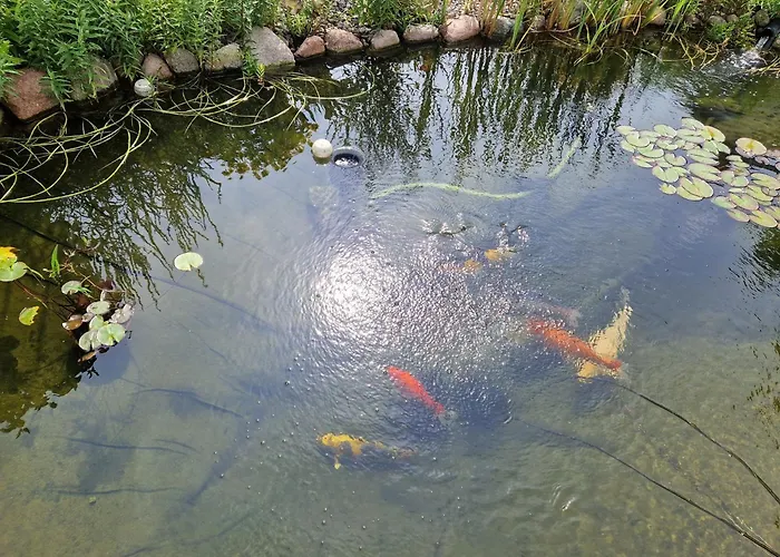 Beier Unten Lejlighed